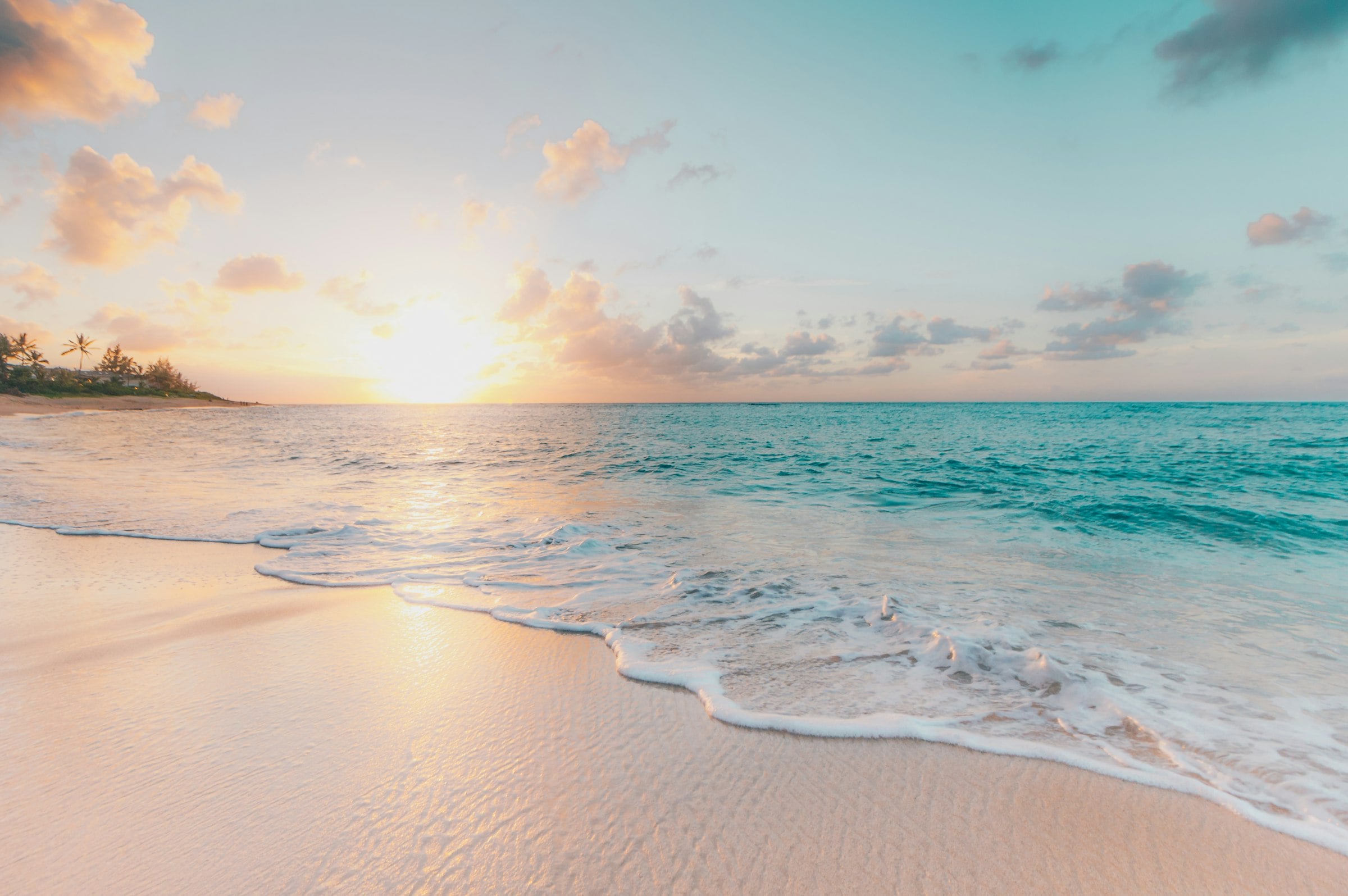 Tropical beach at sunset with palm trees silhouetted against orange sky